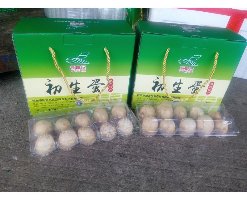 新富民初生蛋-源于天然 滋補(bǔ)有道。